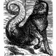 Illustration for article titled The Five Best and Five Worst Demons to Get Possessed By